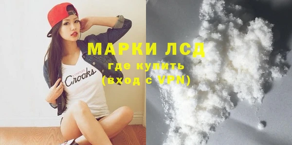 стафф Надым