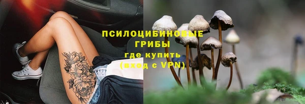 стафф Надым