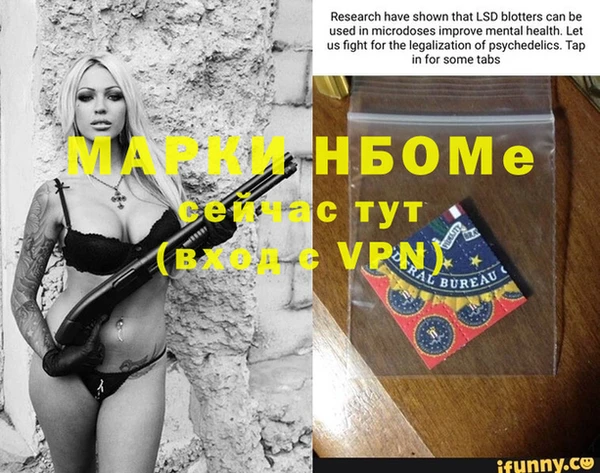 стафф Надым