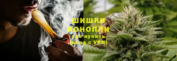 стафф Надым