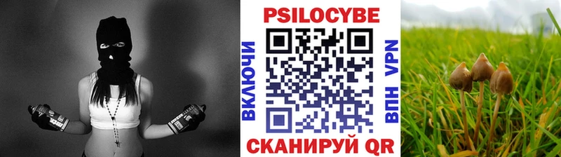 Галлюциногенные грибы мицелий Купить где Истра